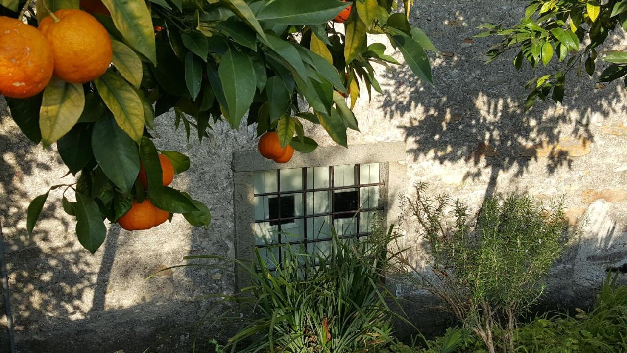 Casale Amati Country House Ortonovo Eksteriør bilde